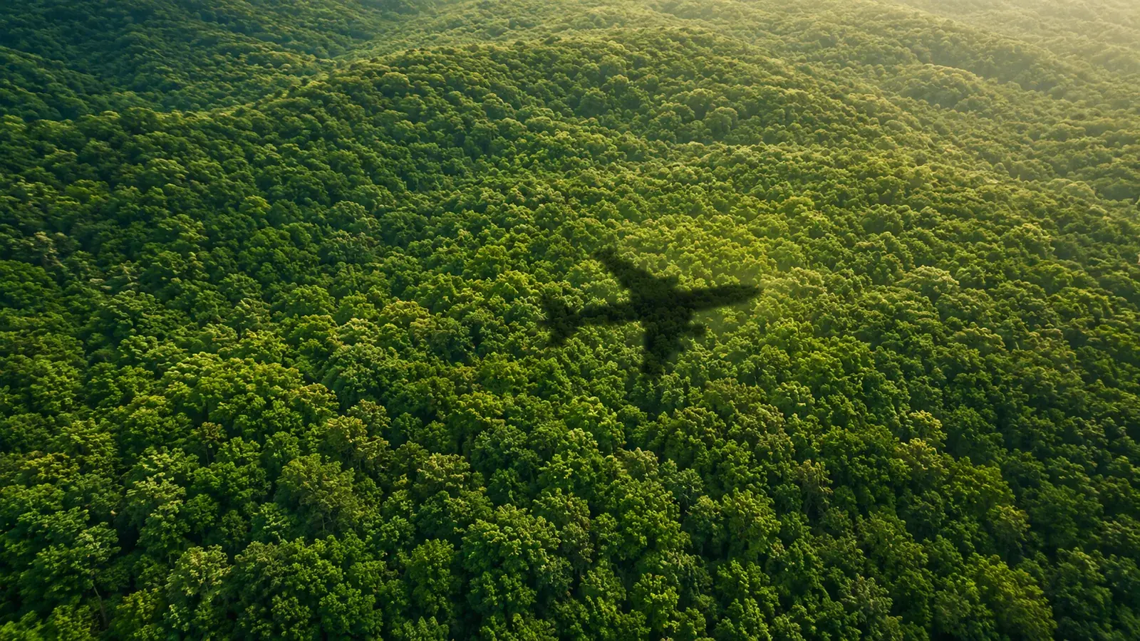Aerial view of airliner in sustainable flight