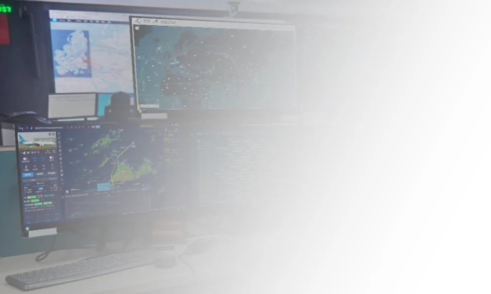 Flight Planning Systems